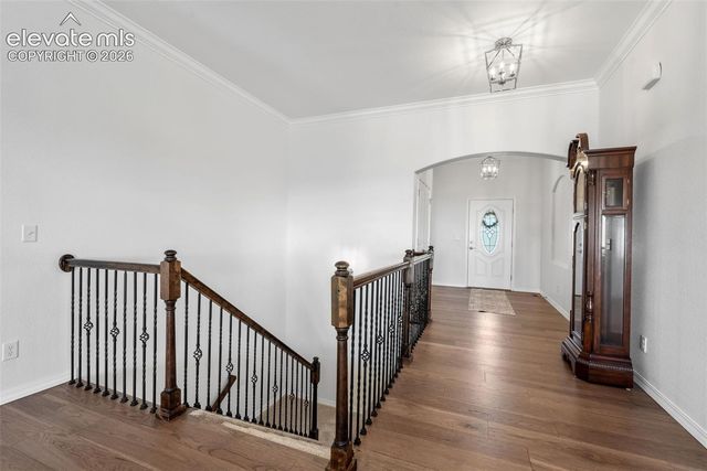 178 Coyote Willow Drive, Colorado Springs, CO 80921