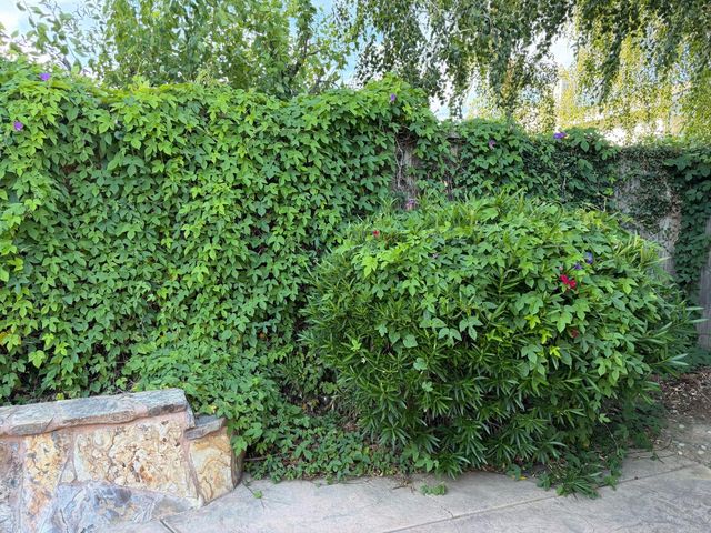 5825 Laguna Trail Way, Elk Grove, CA 95758