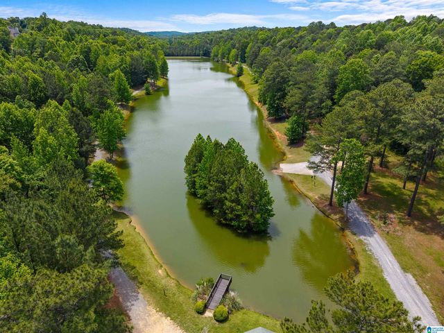 5729 CARRINGTON LAKE PARKWAY, Trussville, AL 35173