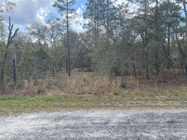 11320 SE 131ST TER, Dunnellon, FL 34431