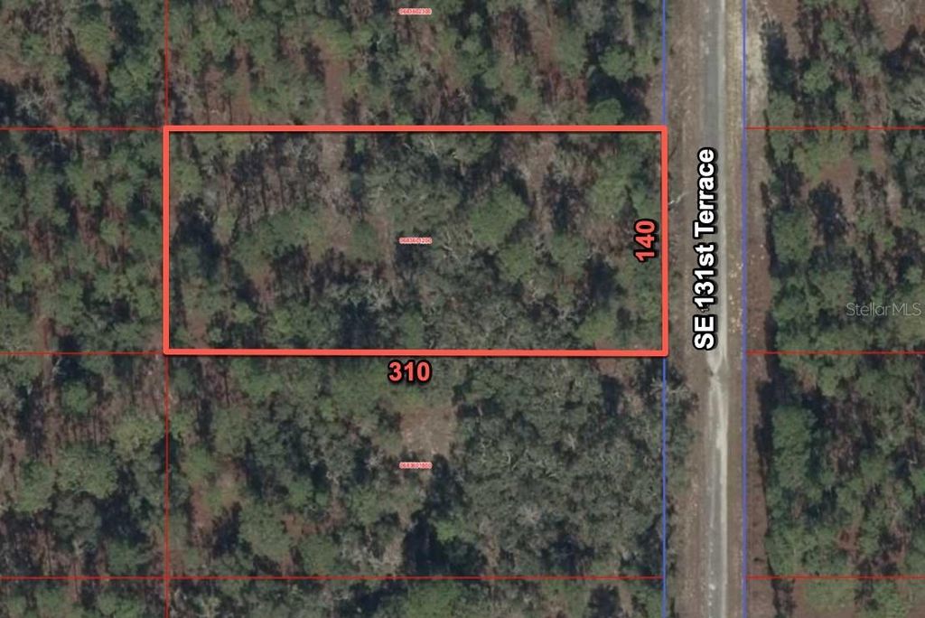 11320 SE 131ST TER, Dunnellon, FL 34431
