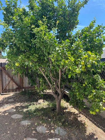 6114 Fenimore Way, San Diego, CA 92120