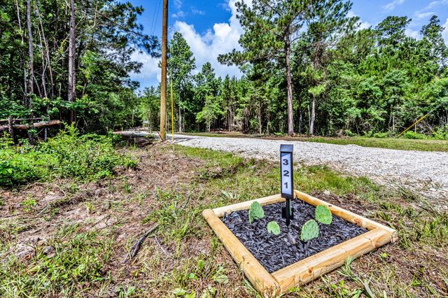 321 Forest Road, Point Blank, TX 77364