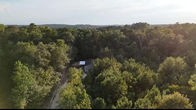 321 Forest Road, Point Blank, TX 77364