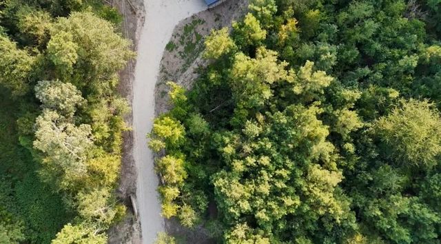 321 Forest Road, Point Blank, TX 77364