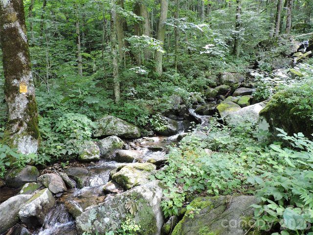 103 Chucks Lane, Bakersville, NC 28705