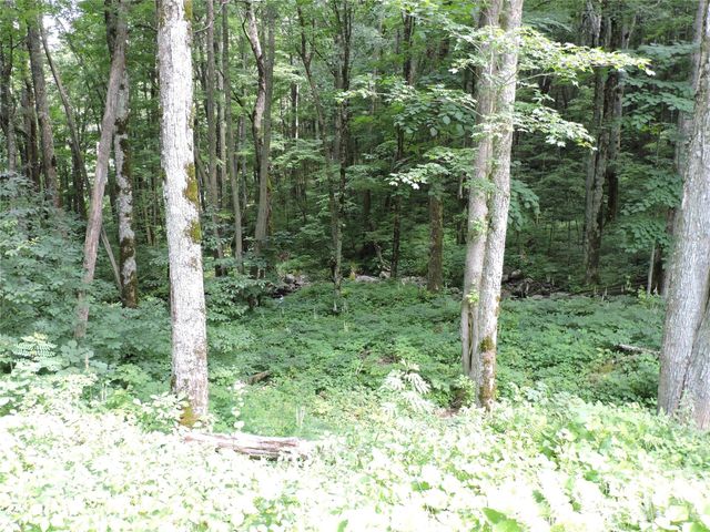 103 Chucks Lane, Bakersville, NC 28705