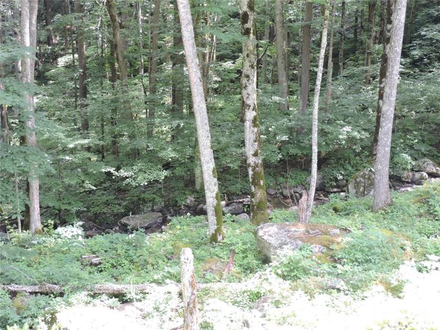 103 Chucks Lane, Bakersville, NC 28705