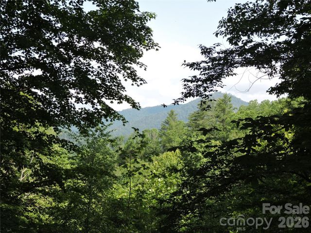 103 Chucks Lane, Bakersville, NC 28705