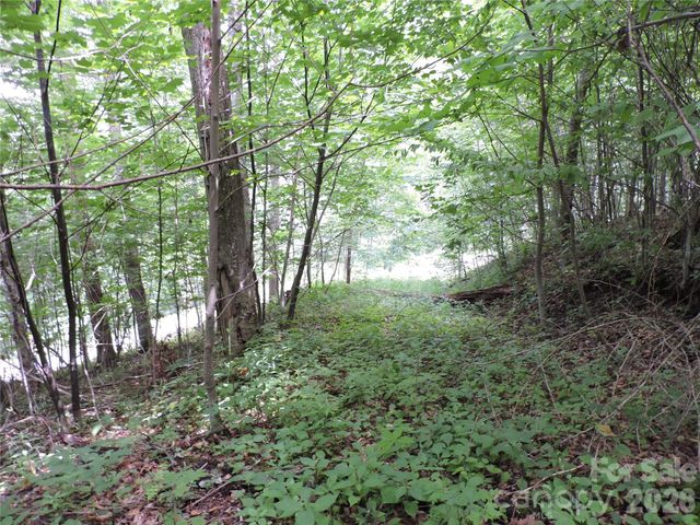 103 Chucks Lane, Bakersville, NC 28705