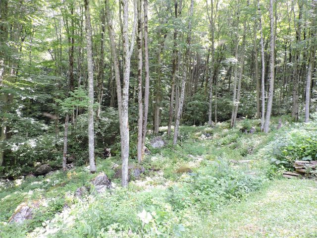 103 Chucks Lane, Bakersville, NC 28705