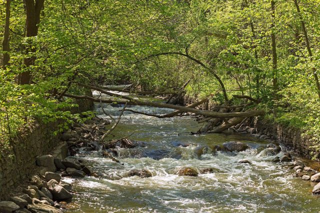 4217 27th Avenue S, Minneapolis, MN 55406