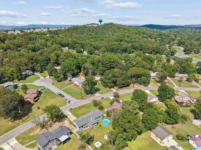 615 CROSSCREEK TRAIL, Pelham, AL 35124