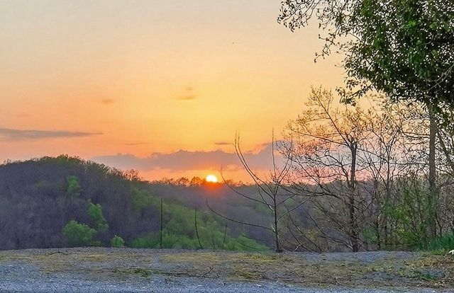 446 Oak Dr, Smithville, TN 37166