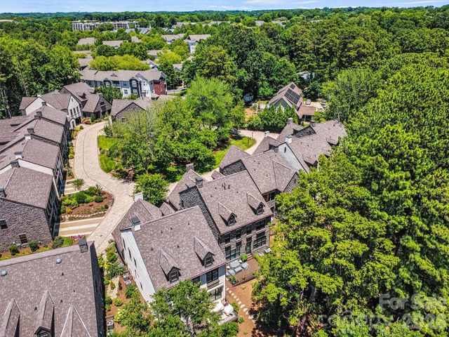 318 Ambleside Village Lane, Davidson, NC 28036