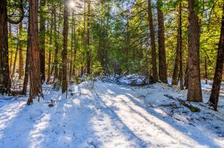 Ritts Mill Road, Shingletown, CA 96088