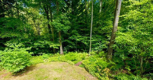67 Woodlot Rd, Amherst, MA 01002