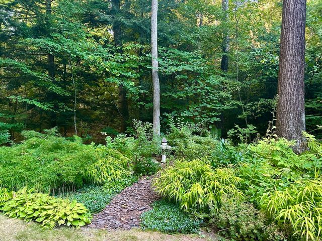 67 Woodlot Rd, Amherst, MA 01002