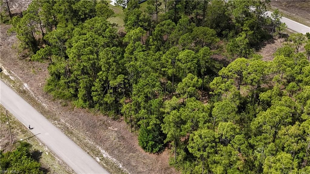 496 Lillon AVE S, LEHIGH ACRES, FL 33974 — photo 2
