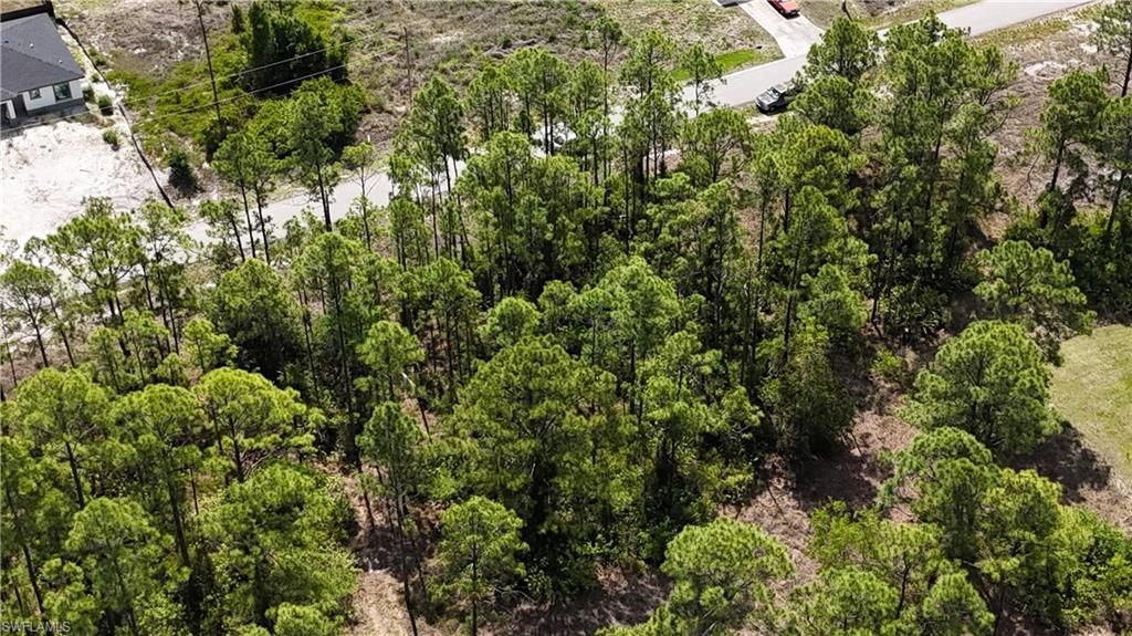 496 Lillon AVE S, LEHIGH ACRES, FL 33974 — photo 3