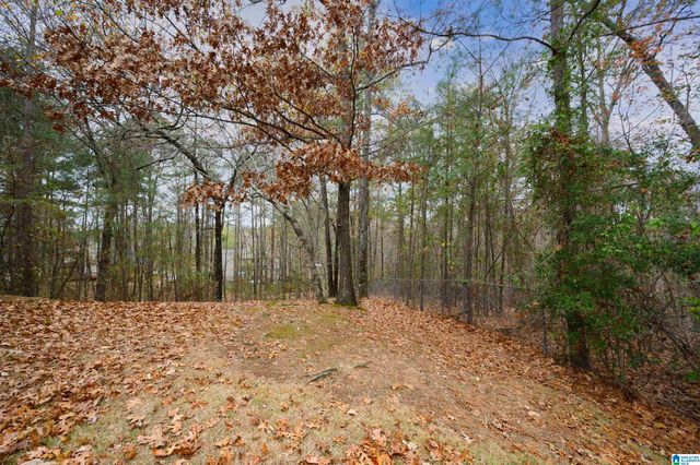 415 TALON CIRCLE, Birmingham, AL 35242