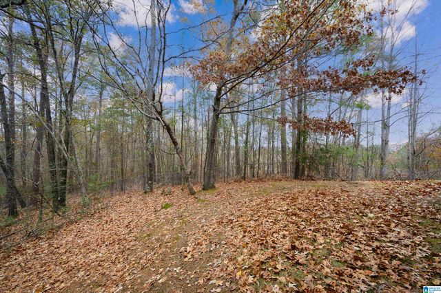 415 TALON CIRCLE, Birmingham, AL 35242