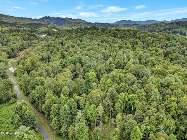 Tbd Holly Hill Drive, Unicoi, TN 37692