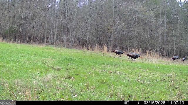 2190 Reese Road, Rutledge, GA 30663