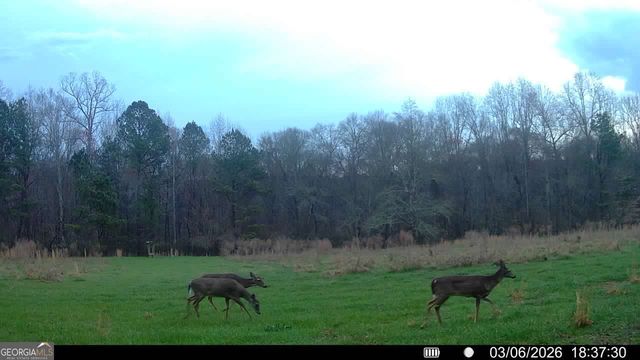 2190 Reese Road, Rutledge, GA 30663