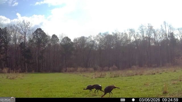 2190 Reese Road, Rutledge, GA 30663