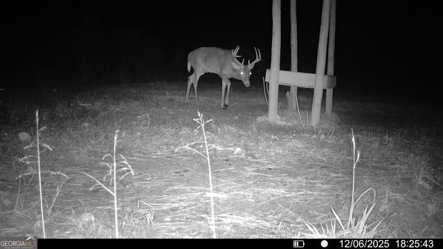 2190 Reese Road, Rutledge, GA 30663