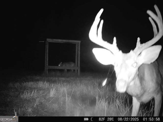 2190 Reese Road, Rutledge, GA 30663