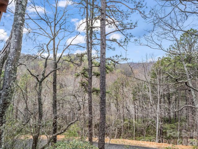 294 Verbena Drive, Black Mountain, NC 28711
