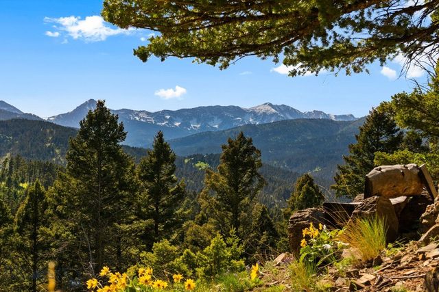 590 Middle Skunk Creek, Bozeman, MT 59715