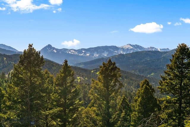 590 Middle Skunk Creek, Bozeman, MT 59715