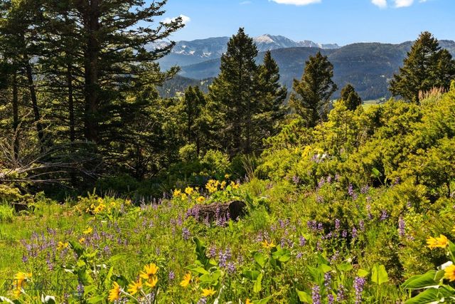 590 Middle Skunk Creek, Bozeman, MT 59715
