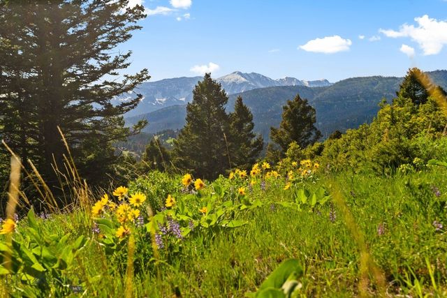 590 Middle Skunk Creek, Bozeman, MT 59715