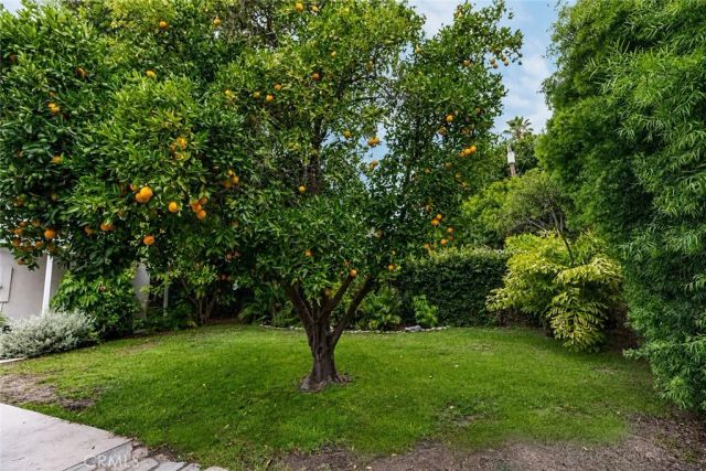 322 S Orchard, Burbank, CA 91506