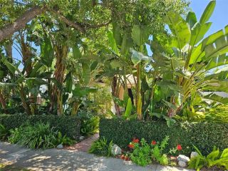 322 S Orchard, Burbank, CA 91506