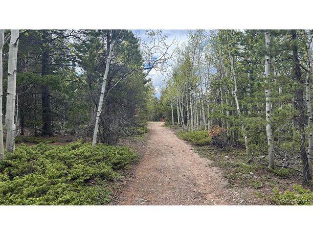 5 Roy Smith Rd, Central City, CO 80427