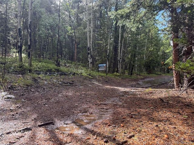 5 Roy Smith Rd, Central City, CO 80427