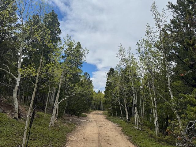 5 Roy Smith Rd, Central City, CO 80427