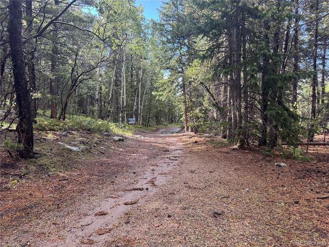 5 Roy Smith Rd, Central City, CO 80427