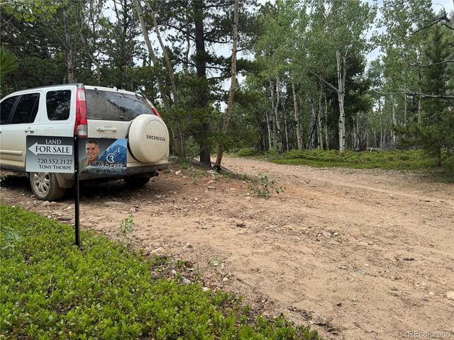 5 Roy Smith Rd, Central City, CO 80427