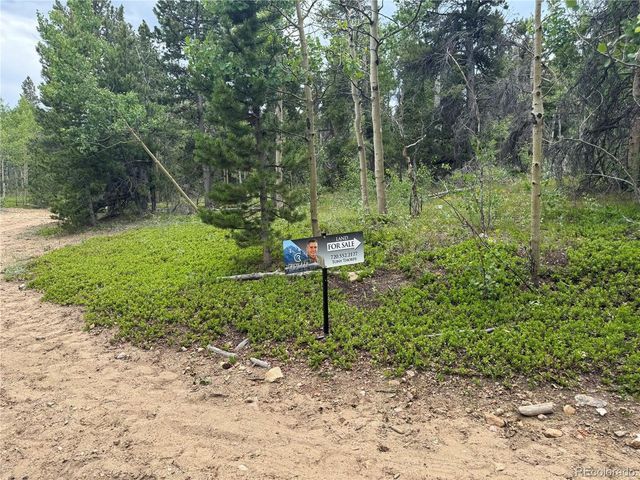 5 Roy Smith Rd, Central City, CO 80427