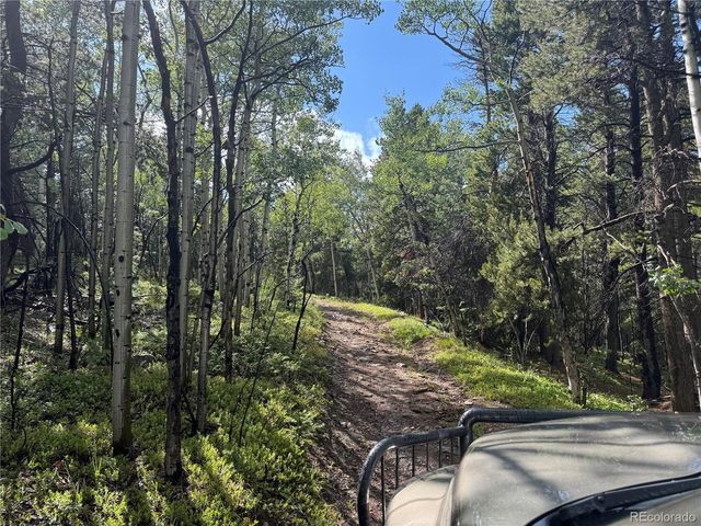 5 Roy Smith Rd, Central City, CO 80427