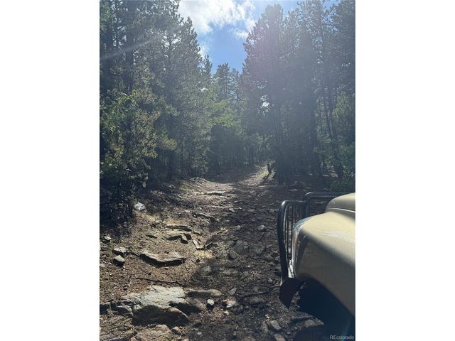 5 Roy Smith Rd, Central City, CO 80427