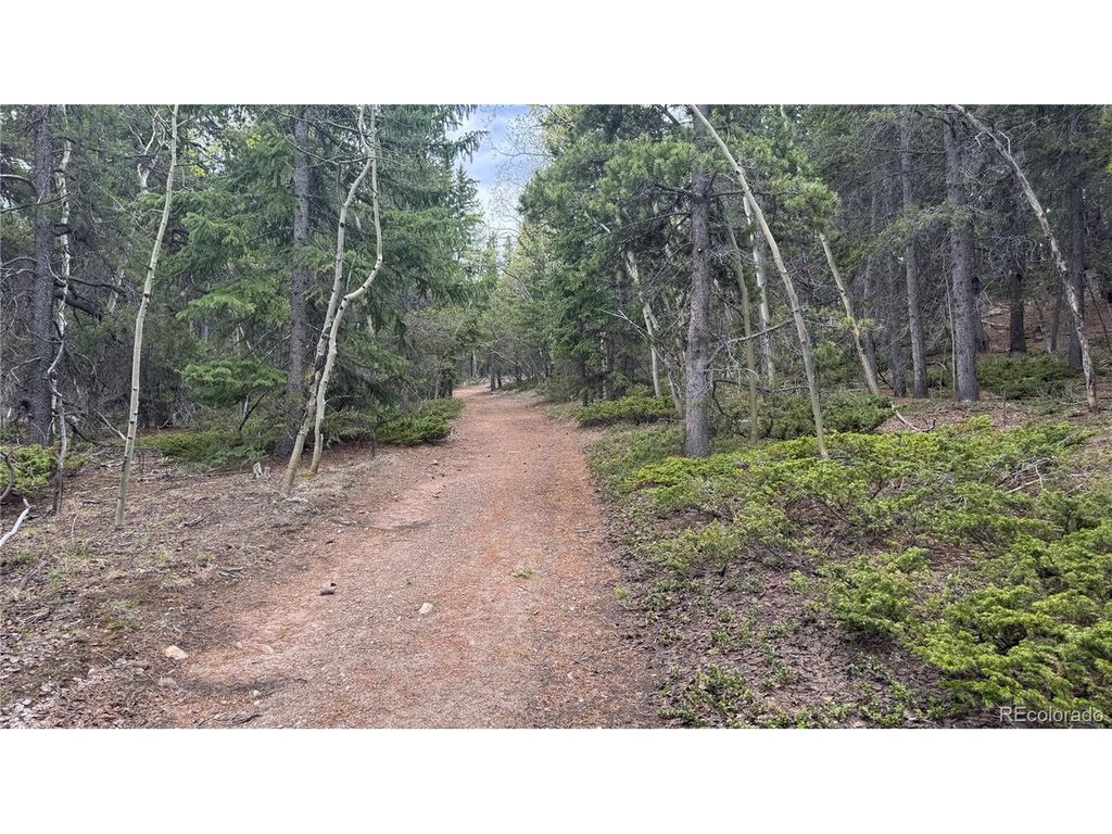 5 Roy Smith Rd, Central City, CO 80427