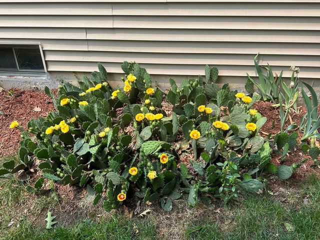 1190 Alpine Lane, Elgin, IL 60120