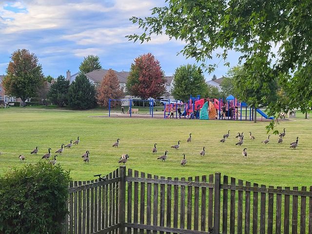 1190 Alpine Lane, Elgin, IL 60120